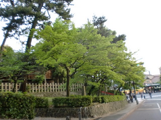 画像 215.jpg